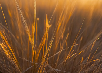 Close up of dry wheat background. Generative AI