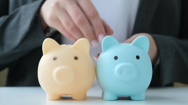 Businesswoman throws coins into two piggy banks in turn. Business person diversifies portfolio. Pension, savings, finance accounting diversification. Saving money, investments diversity concept