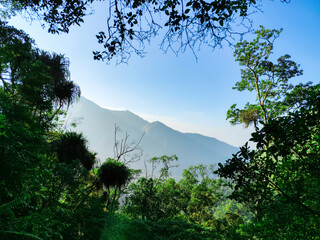 green hill with beautiful natural scenery at sembalun village lombok, indonesia. the landscape is for hiking and outdoor lifestyle concept.