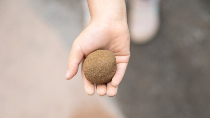 泥だんご・こどもの手