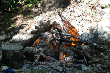 campfire in the forest