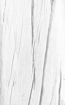 White wood texture with beautiful natural patterns in retro concept.