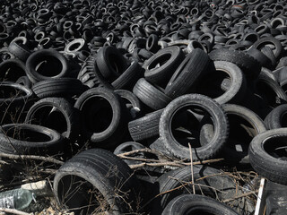 Obraz premium Environmental problems. Recycling of rubber tires. Used car tires are dumped in a landfill for recycling. A warehouse of old tires for garbage at a garbage recycling site. Reuse of used rubber tires.