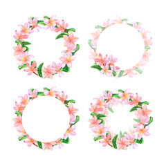Tropical pink plumeria flowers with leaves. Watercolor, hand drawn illustration. Set of round frames, templates, wreaths on a white background. For design and decoration, packaging and invitations
