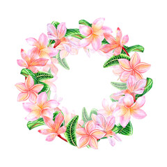 Tropical pink plumeria flowers with leaves. Watercolor, hand drawn illustration. Round frame, template, wreath on a white background. For design and decoration, packaging and cards, invitations