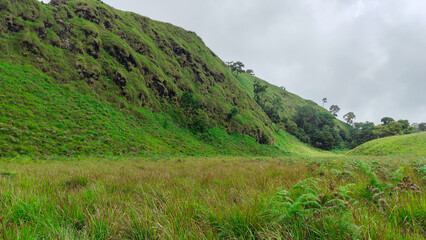 beautiful savanna propok at sembalun village lombok, indonesia. the landscape is for hiking and outdoor lifestyle concept. landscape of green field