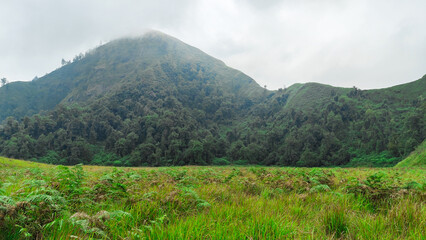 beautiful savanna propok at sembalun village lombok, indonesia. the landscape is for hiking and...