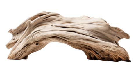 Piece of driftwood isolated on transparent background