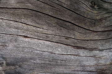 Textured old wood surface background