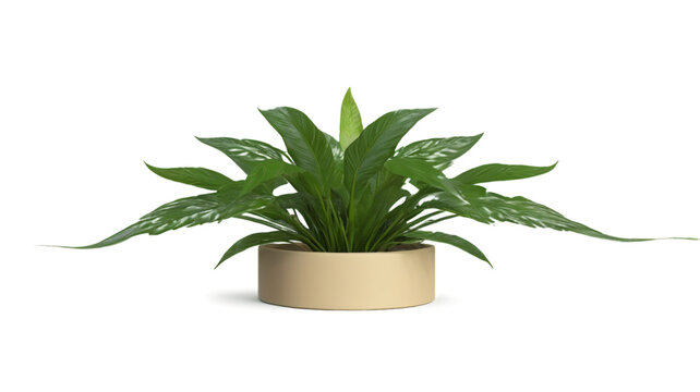 Ilustraci&oacute;n de macetas decorativas con plantas verdes en 3D sin fondo
