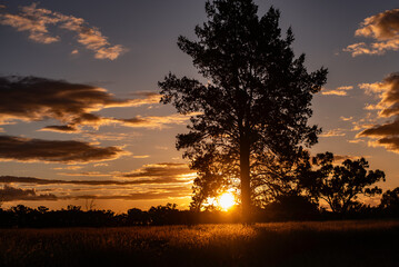 Sunset over grassland in the outback