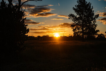Sunset over grassland in the outback