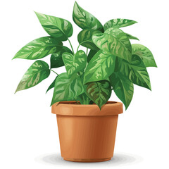 Obraz premium vector houseplant in brown flowerpot on white background