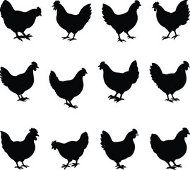 Set of hen silhouette, chicken silhouettes, Set of rooster and hen silhouettes