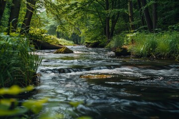 Flowing Creek Through Lush Forest