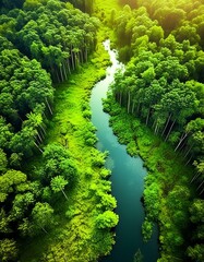 Obraz premium rivière ou fleuve au milieu d'une forêt dense et sauvage vue du ciel en ia