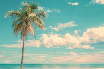 palm tree on the beach