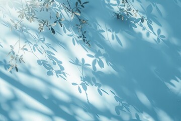 Light blue background with tree shadow for product presentation.