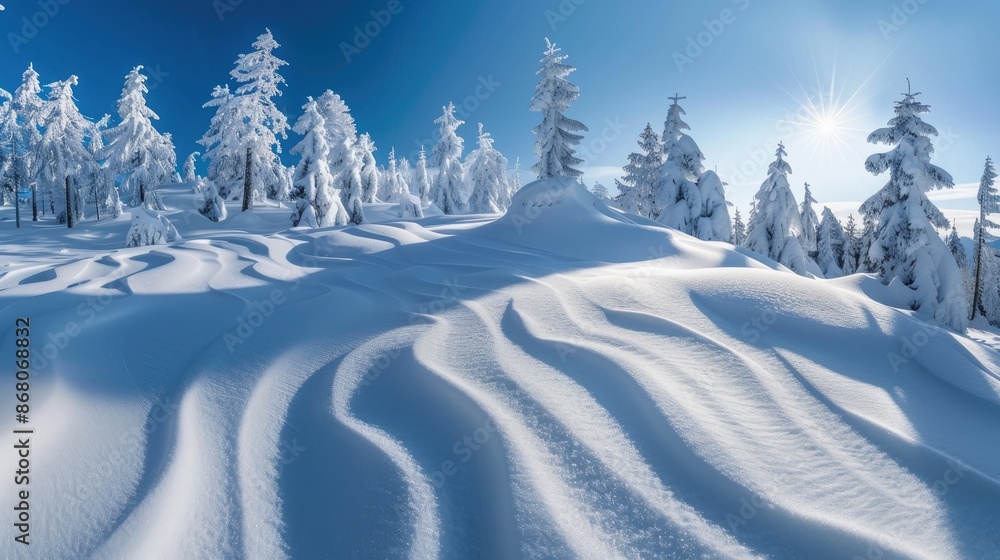 Poster winter scenery with snow covered ground and unique patterns wide panoramic view with copy space