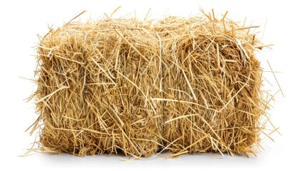 Bale of Hay on White Background