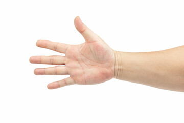 An Asian male palm showing isolated on white background