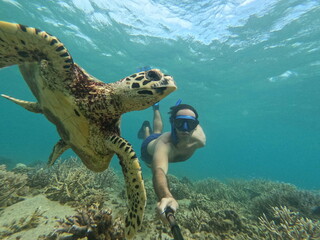 scuba diver and turtle 2