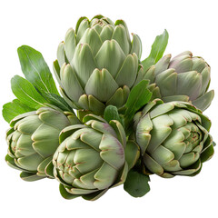 Obraz premium Crisp Artichokes with Verdant Leaves on a Clean White Background