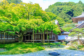 初夏の雷山千如寺大悲王院　福岡県糸島市　Raizan Sennyoji Daihio-in Temple in early summer. Fukuoka Pref, Itoshima City.