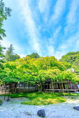 初夏の雷山千如寺大悲王院　福岡県糸島市　Raizan Sennyoji Daihio-in Temple in early summer. Fukuoka Pref, Itoshima City.