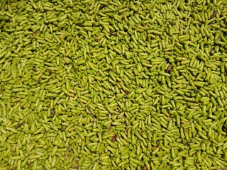 Fresh green cloves are dried in the sun on a bamboo mat