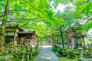 Fototapeta premium 初夏の雷山千如寺大悲王院 福岡県糸島市 Raizan Sennyoji Daihio-in Temple in early summer. Fukuoka Pref, Itoshima City.