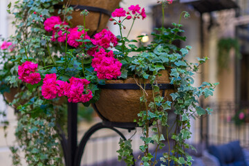 flowers in the street