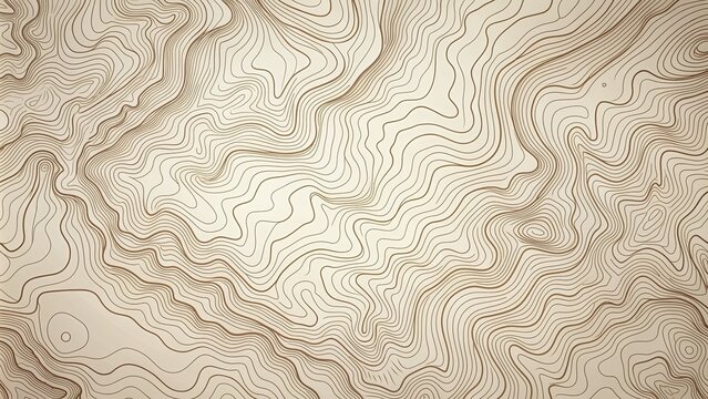 abstract blank detailed topographic contour map subtle white vector background topographic cartography topographic map topographic relief topography map topography relief