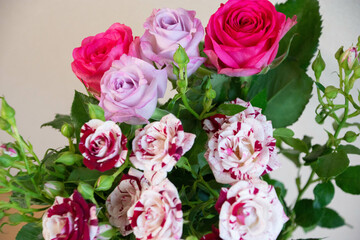 カラフルなばら