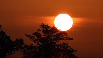 the sun at sunrise, with the large, glowing sun dominating the horizon.