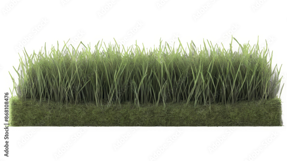Poster field of grass on transparent background. 3d rendering