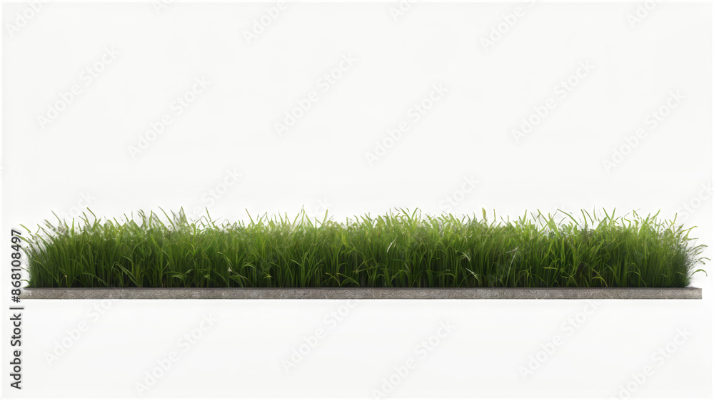 Poster field of grass on transparent background. 3d rendering