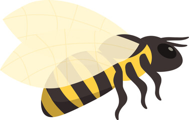 Honey bee flying with spread wings illustration