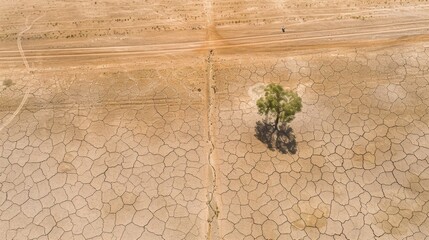 Arid desert landscape cracked into geometric patterns, a lone caravan visible from above