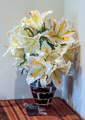 Japanese native lilies, lilium auratum, or golden-rayed lily, has yellow bands on white leaves with...