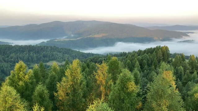 Beskid Sądecki, Muszyna Dolina Popradu, poranne mgły