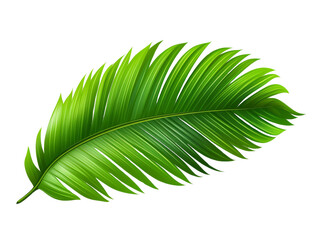 Obraz premium High-quality image of a vibrant green palm leaf isolated on a white background, perfect for botanical and tropical themed designs.