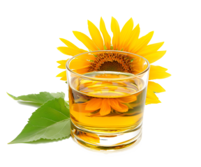 Sunflower oil in glass isolated on transparent or white background, png