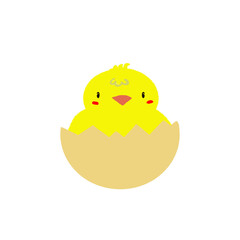 Cute Chicken