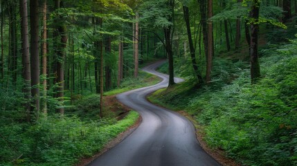 Obraz premium A winding road cutting through a dense forest with tall trees on both sides