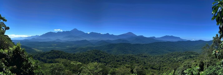 Panoramic perspectives  amazon rainforest s stunning views revealed from various angles