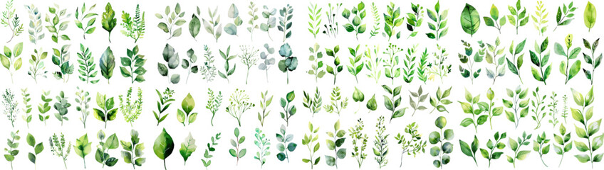 Green watercolor leaves on isolated background	