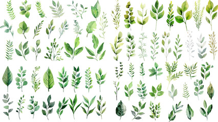 Green watercolor leaves on isolated background	