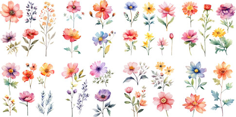 Fototapeta premium Set watercolor elements of floral; collection. leaves, branch, botanic, garden flowers, eucalyptus, wedding floral design, invitation, cloth.