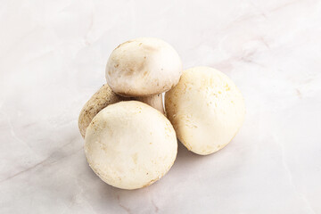 Fototapeta premium Natural organic ripe champignon mushrooms